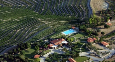 İş insanı Arel’in 60 adet gayrimenkulü üzerinde hileli oyun 