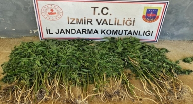 İzmir'in 9 İlçesinde Uyuşturucu Operasyonu: 26 kişi yakalandı