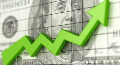 Japon bankadan kritik dolar/TL tahmini