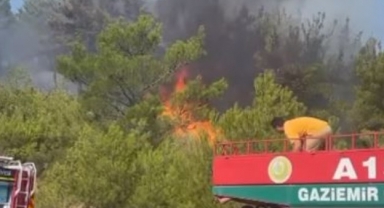 Menderes'de yangın: Gümüldüre geçiş durduruldu