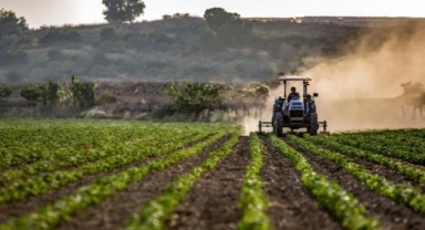 Tarımsal girdi enflasyonunda yeni rekor! 
