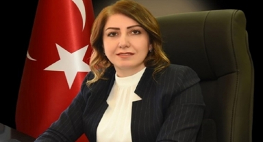 Tartışılan Kaymakam Şanlıurfa yolcusu! 