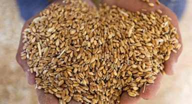 Ukrayna’dan tahıl yüklü ilk gemi bugün yola çıkıyor