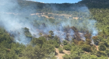 Bergama'da orman yangını paniği! 