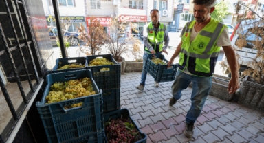 Buca'da bağ bozumu bereketi yurttaşla paylaşıldı