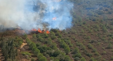 Foça'da Cezaevi yakınlarında yangın