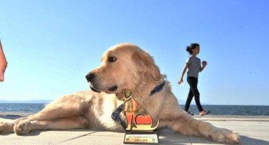  Hayvan severler Narlıdere'de buluşuyor