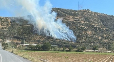 Kiraz’da orman yangını paniği!