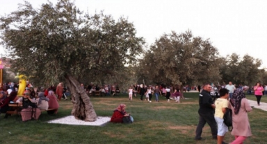  Zeytinpark açıldı!