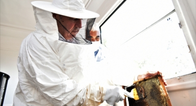 Arı yetiştiriciliği Bornova’da anlatıldı