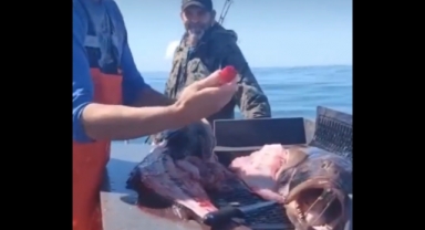 Balığın içinden açılmamış viski çıktı!