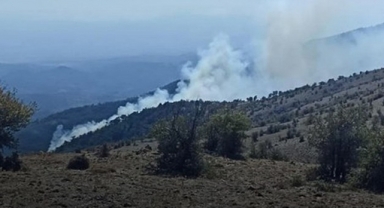Bergama’da korkutan orman yangını!