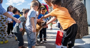 Bornova’da sokak canlarına özel ilgi