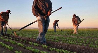 Çiftçi destekleri belli oldu