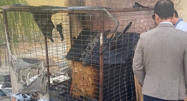 İzmir'de kan donduran vahşilik... Köpeği yakarak telef ettiler