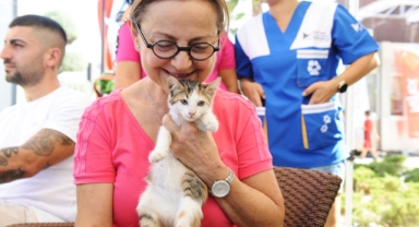 Karşıyaka’da can dostlara sıcak yuva aranıyor