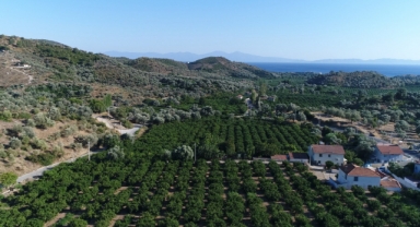 Menderes Belediyesi’nden tarım seferberliği