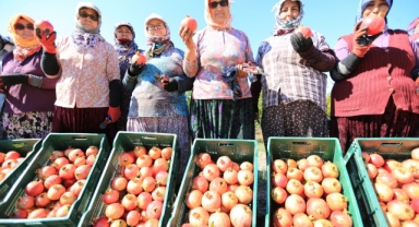 “Nar Neşesi, Şen Tanesi” Şenliği başlıyor