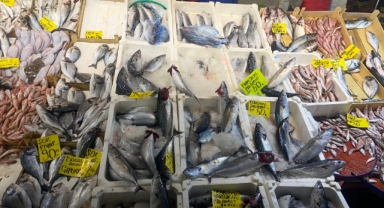 Denizdeki bereket pazara yansıdı: Fiyatlar yarı yarıya düştü