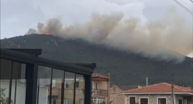 Foça'da yangın paniği: Ekipler müdahale ediyor