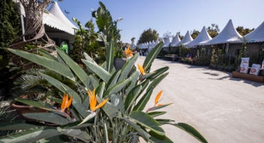 Ödemiş Süs Bitkileri ve Fidancılık Sergisi açıldı