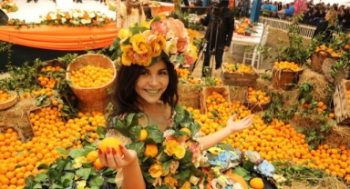 Turuncu altına 22. Festival