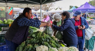Üretici ve tüketiciyi buluşturan pazar