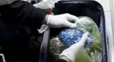 Valizin içinden zehir çıktı