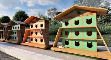 Bayraklı'dan sokak kedilerine sıcak yuva