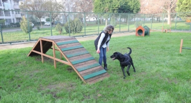 Bayraklı’dan evcil hayvanlar için ‘Pati Park’