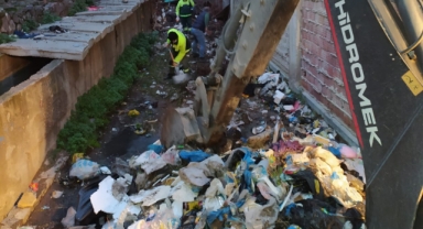 Masal değil trajedi: Fareli evin avcısı