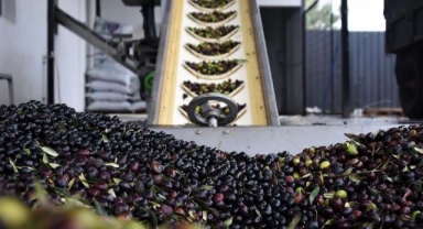 Kemalpaşa zeytinyağı fabrikası dolu dizgin