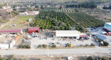 Menemen'in zeytinyağı fabrikası rekora gidiyor