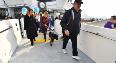 Rehber köpekler toplu ulaşımda