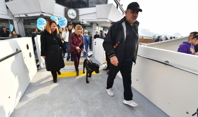 Rehber köpekler toplu ulaşımda