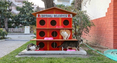 Bayraklı'dan can dostlara yeni yuva