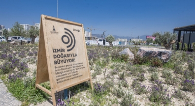 Büyükşehir'den yeşil İzmir hamlesi... Bir yılda 10 Buca Cezaevi kadar yeşil alan