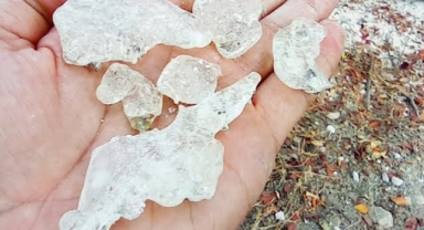 Çeşme'nin meşhur Sakızı Kıbrıs yolcusu