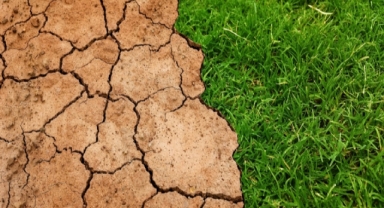 Ege Bölgesi için kırmızı alarm… Kuraklık kapıda!