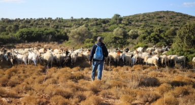 İzmir’de Çoban Start-Up dönemi başlıyor