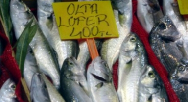 Kırmızı etin yeni rakibi… Lüferin kilosu 400 TL'ye yükseldi!