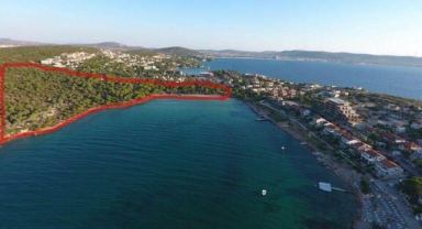 Mahkemeden Paşalimanı Koyunu kurtaran karar… İhtiyati tedbir koyuldu!