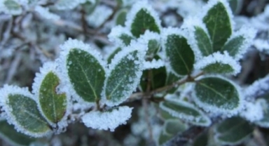 Valilik’ten 'Don' uyarısı… 31 Ocak ve 1 Şubat tarihlerine dikkat!
