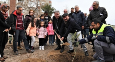 Zeytin fidanları Bornova'da toprakla buluyor