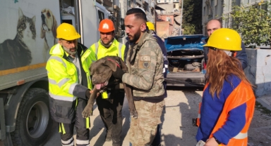Büyükşehir depremden etkilenen can dostlarını unutmadı