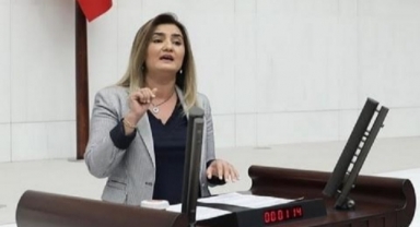 CHP'li Erdan Kılıç: 