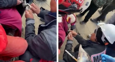 Enkazdan kurtarılan kediye 'Makur' desteği