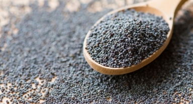 Hububat bakliyat yağlı tohumlar sektörü depremin yaralarının saracak