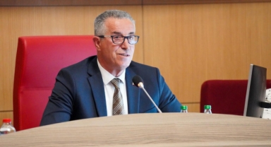 Afetlere karşı dirençli bir kentiz