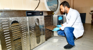 Büyükşehir, can dostları için mama üretimine başladı